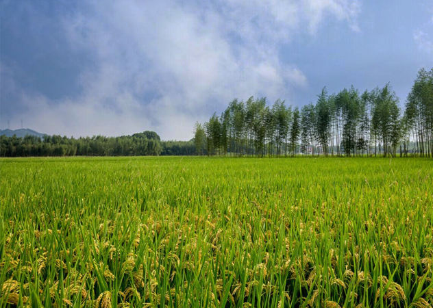 吉安附近工业废水检测好的