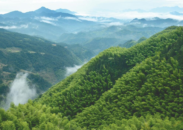 北海附近噪声监测好的